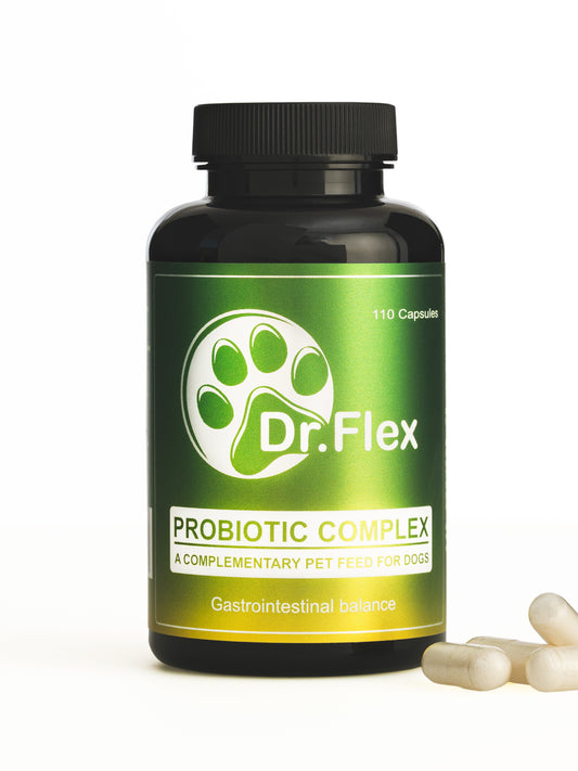 Dr. Flex Probiotika Komplex für Hunde