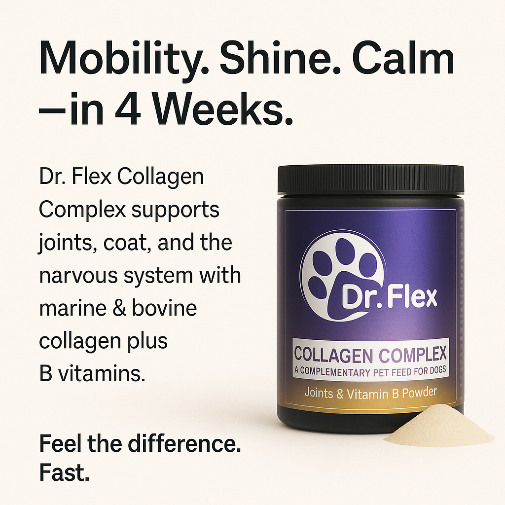 Dr. Flex Vitamin B Komplex Pulver für Hunde