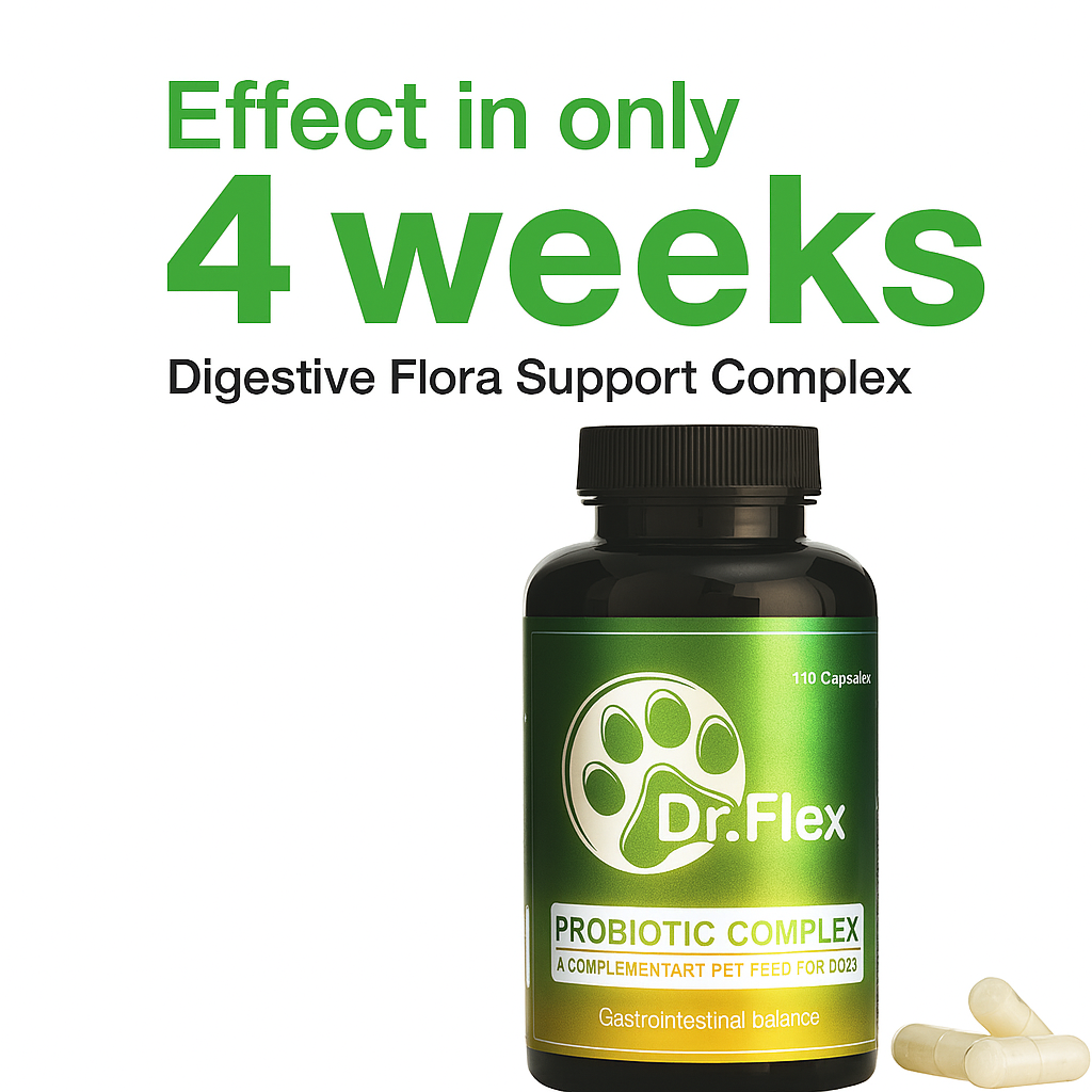 Dr. Flex Probiotika Komplex für Hunde