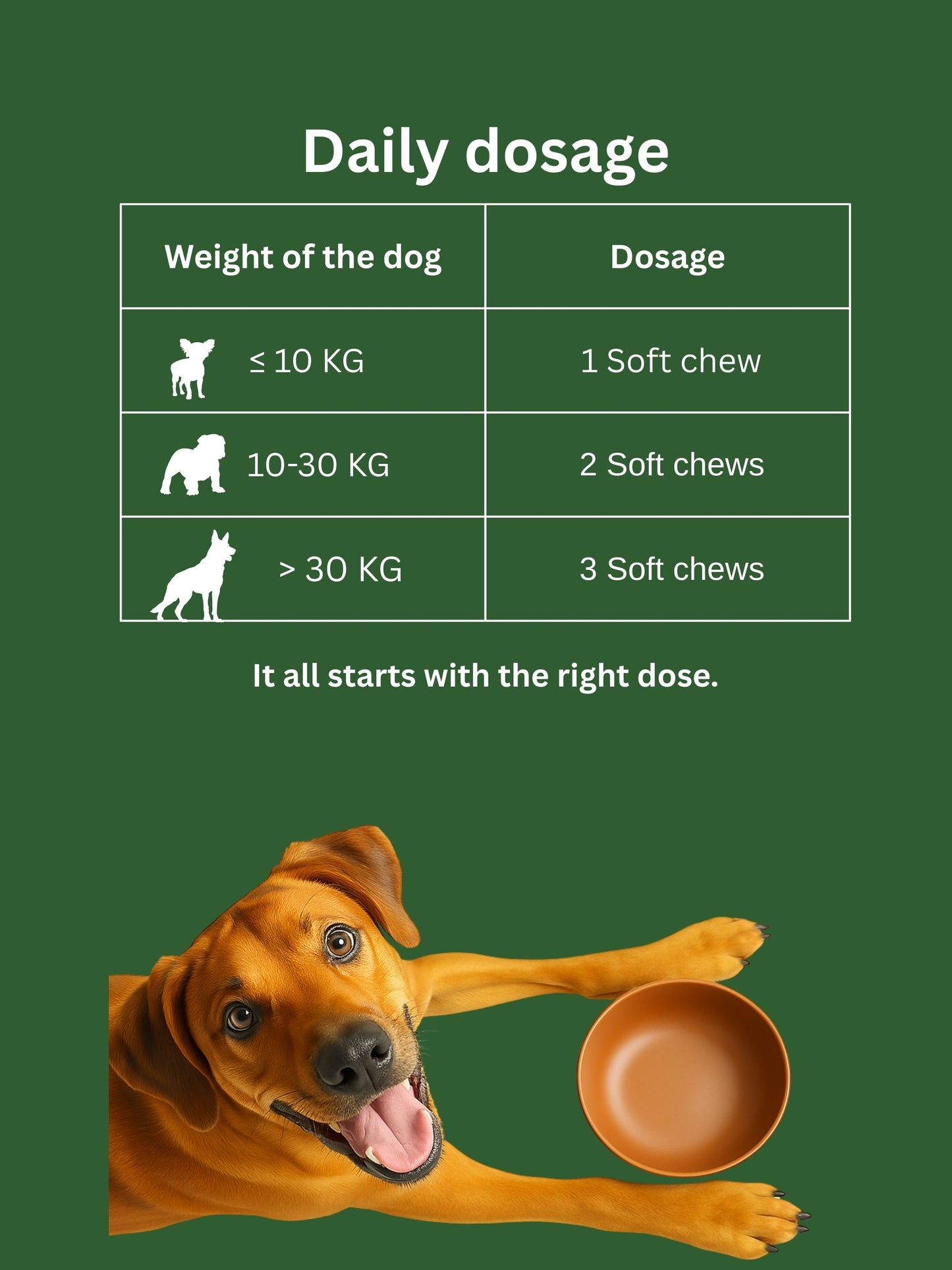 Dr. Flex Probiotika Komplex für Hunde – Soft-Chews