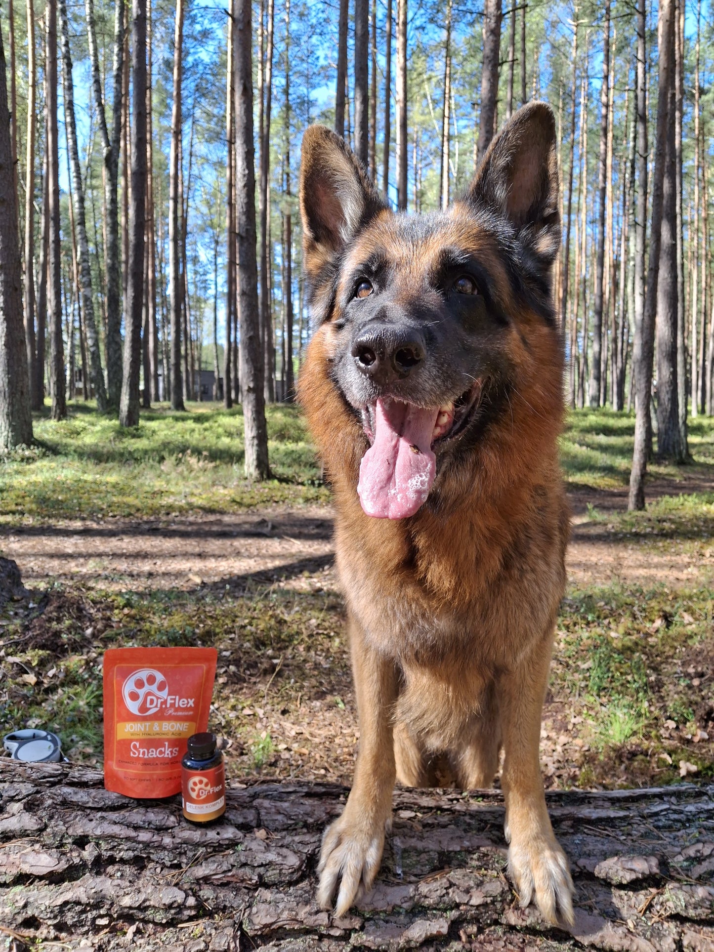 Dr. Flex Gelenk-Komplex Kapseln für Hunde