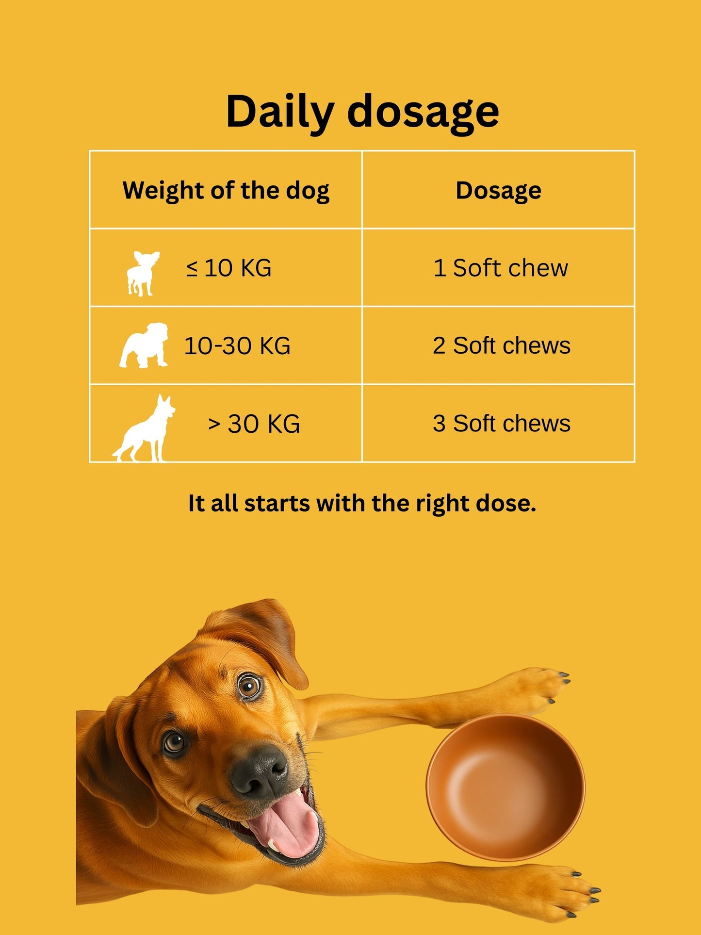 Dr. Flex 8in1 Multivitamin Soft-Chews für Hunde