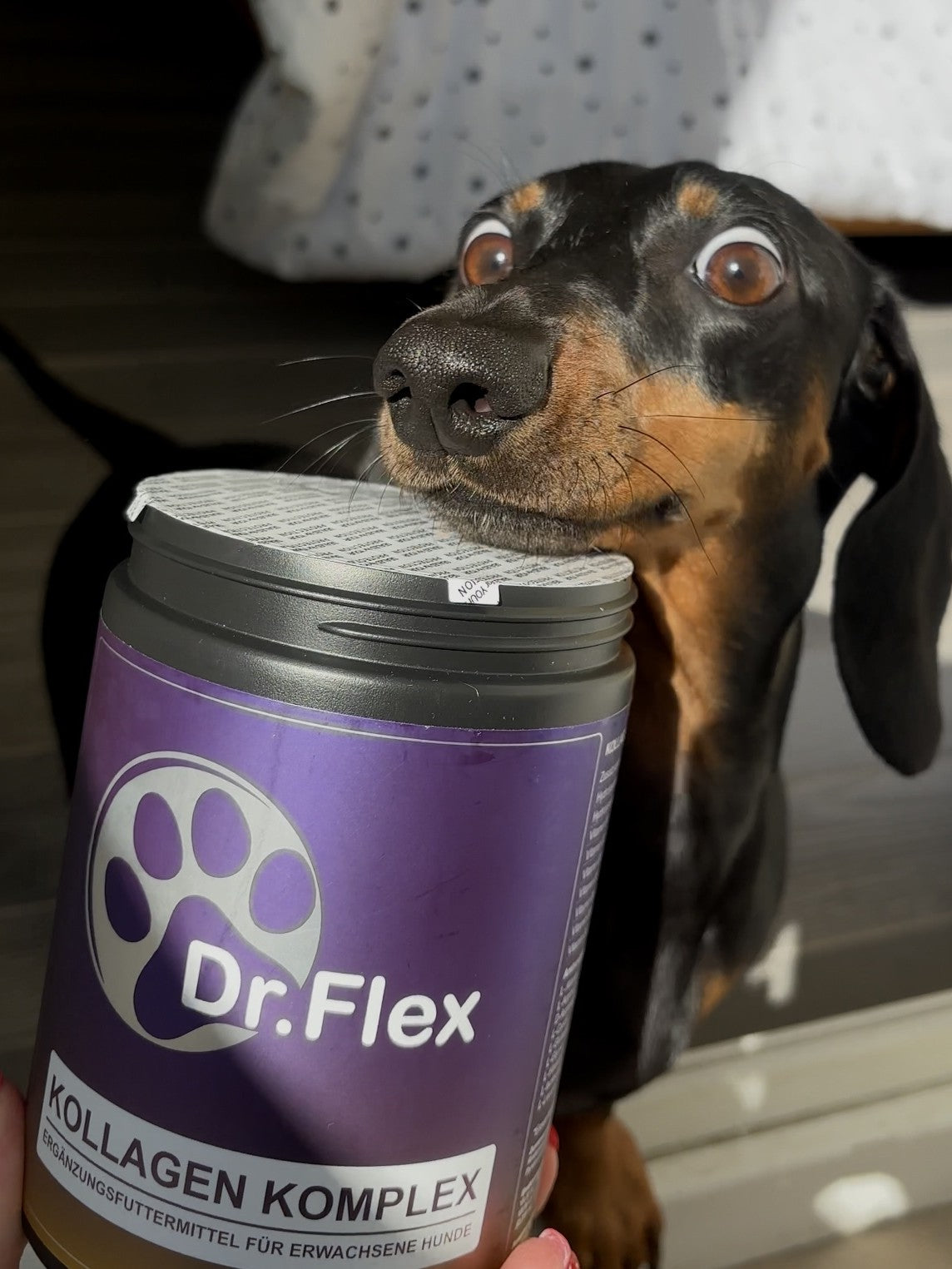 Dr. Flex Vitamin B Complex Powder for Dogs