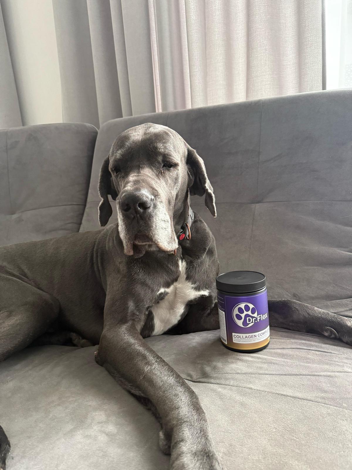 Dr. Flex Vitamin B Complex Powder for Dogs