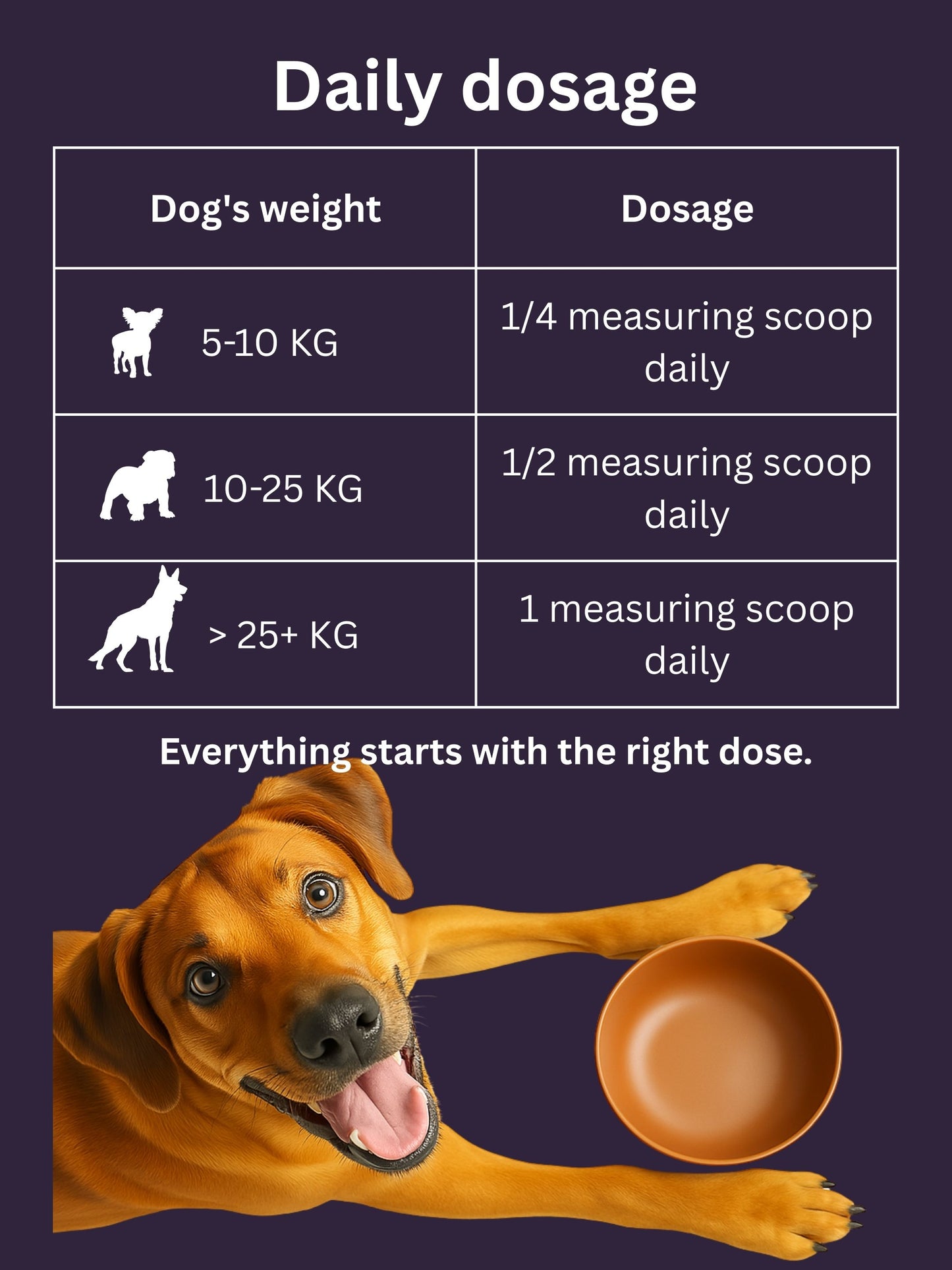 Dr. Flex Vitamin B Complex Powder for Dogs