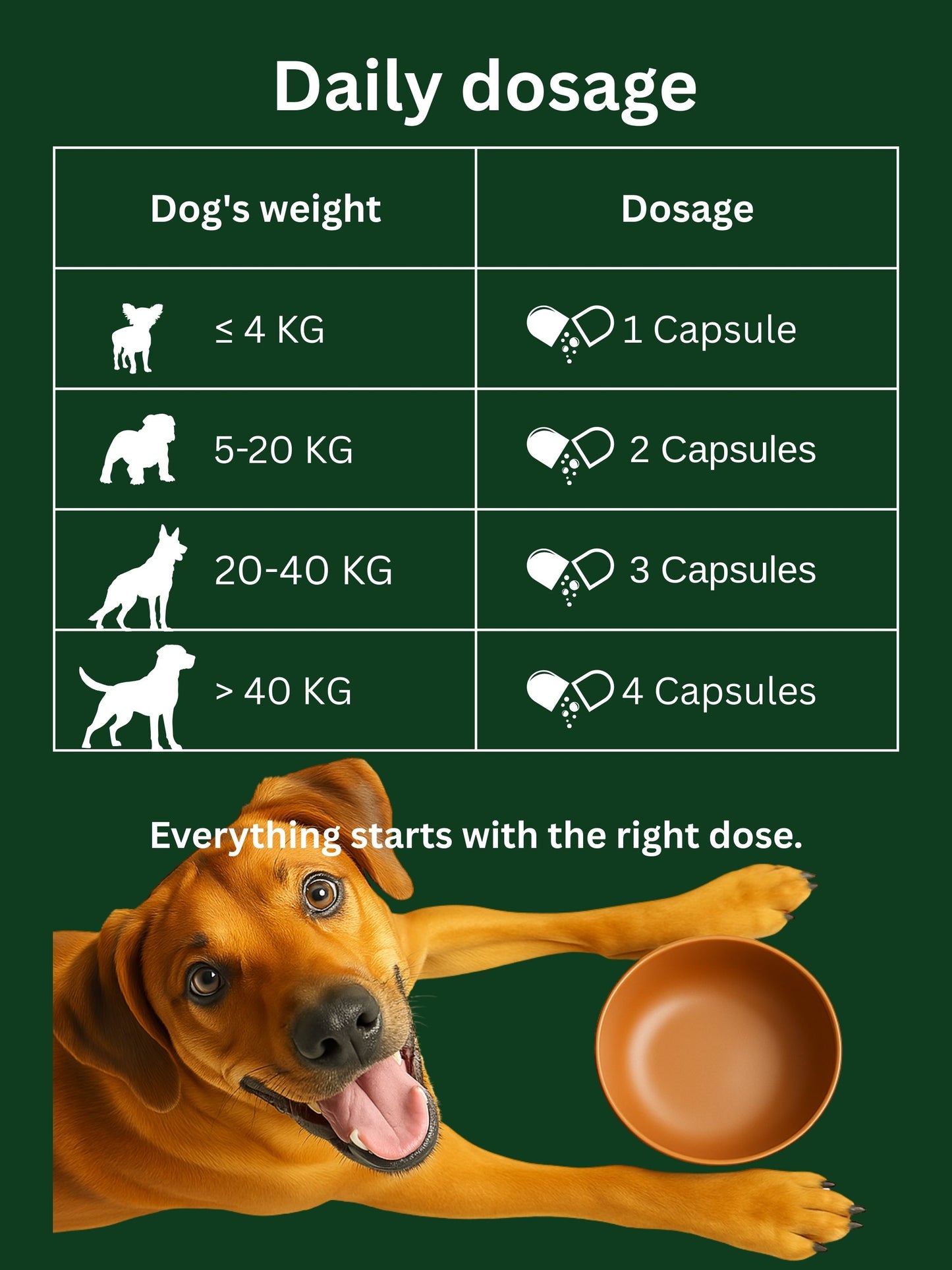 Dr. Flex Probiotika Komplex für Hunde
