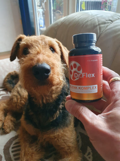Dr. Flex Gelenk-Komplex Kapseln für Hunde – Mit Glucosamin, Chondroitin & MSM für Knochen & Gelenke