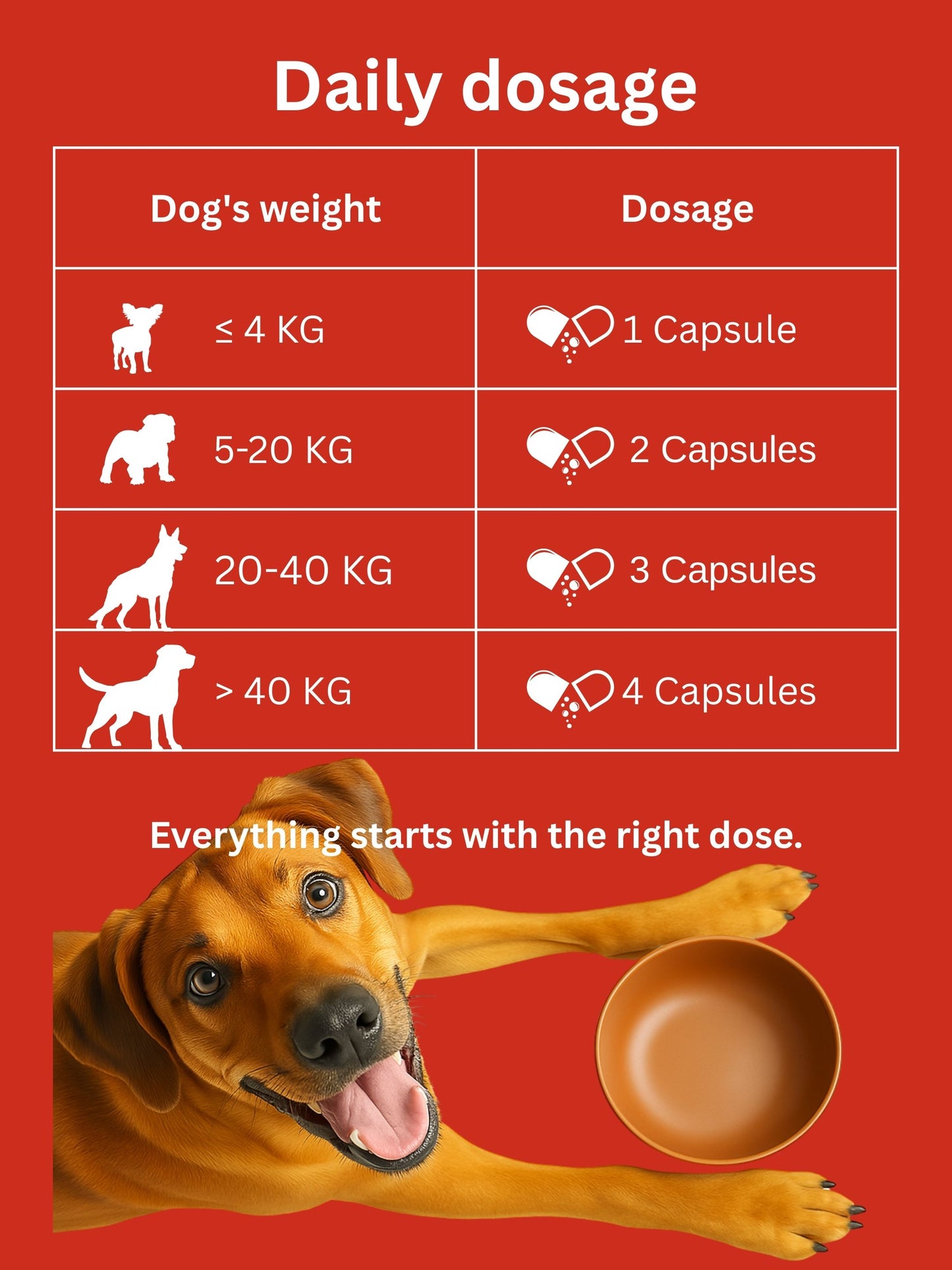 Dr. Flex Gelenk-Komplex Kapseln für Hunde – Mit Glucosamin, Chondroitin & MSM für Knochen & Gelenke