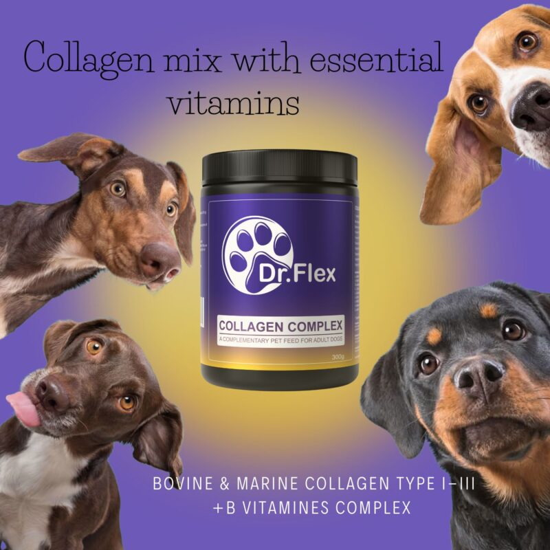 DR.Flex Collagen Complex - Image 4