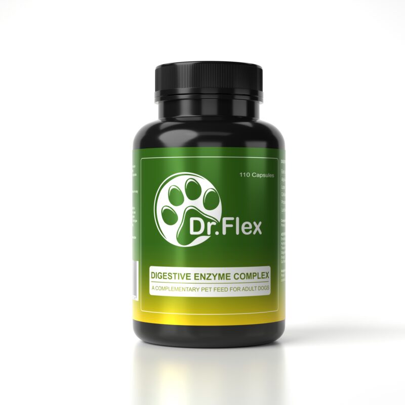 DR.Flex Digestive Enzyme Complex