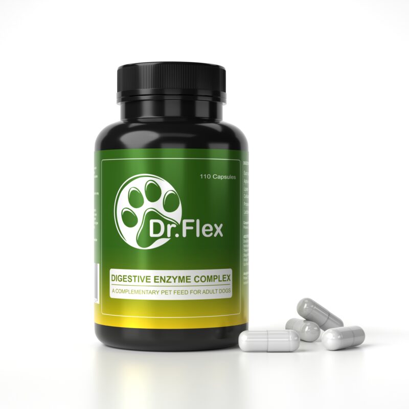 DR.Flex Digestive Enzyme Complex - Image 2