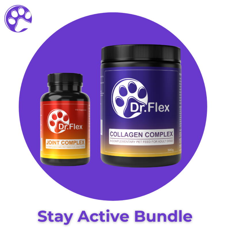 Stay Active Bundle