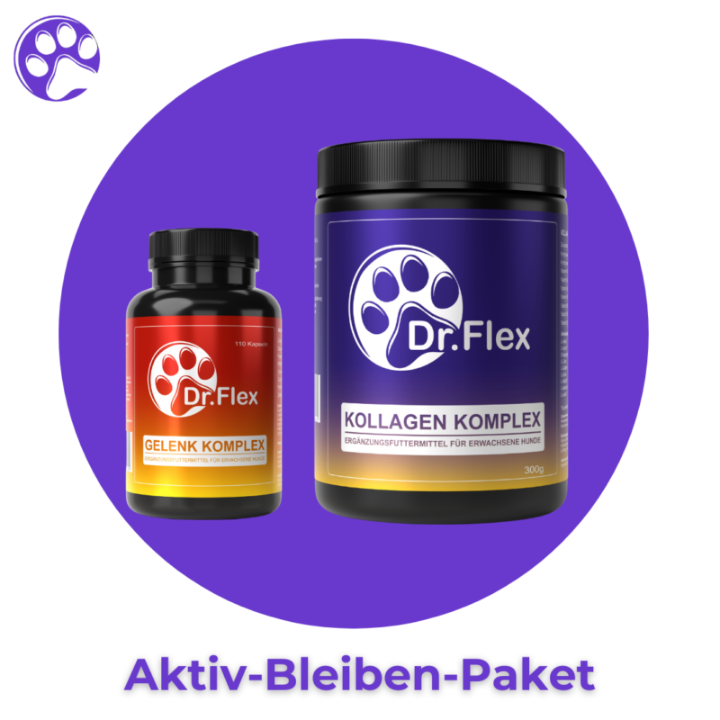 Aktiv-Bleiben-Paket